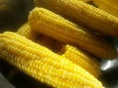 corn-on-the-cob-fresh-corn-corn-727108.jpg