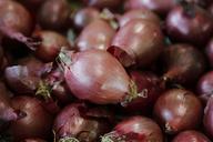 onion-vegetables-food-1076653.jpg