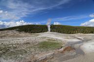 geyser-yellowstone-national-park-1591113.jpg