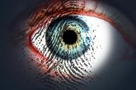 eye-fingerprint-eye-print-check-319668.jpg