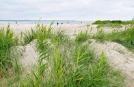 dune-dunes-sand-sea-the-baltic-sea-853288.jpg