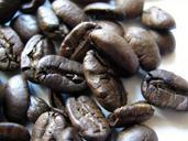 coffee-beans-roasted-pacamara-beans-226940.jpg