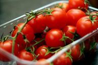 tomatoes-tomato-vine-red-healthy-596298.jpg