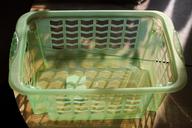 laundry-basket-basket-plastic-green-282426.jpg