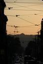 city-street-sunset-architecture-647152.jpg