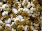 garlic-white-food-65281.jpg