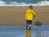 human-child-boy-children-sea-327129.jpg