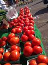 tomatoes-farmers-market-fresh-19619.jpg