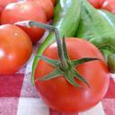 tomatoes-red-paprika-food-419312.jpg