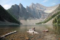 Driftwood_in_Water_Near_Mountains.jpg