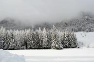 winter-scene-mountain-wonderland-1055467.jpg