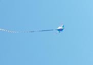 kite-flying-air-joy-vacation-13651.jpg