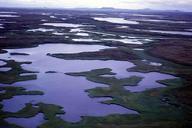 Aerial-view-of-hazen-bay-wetlands.jpg