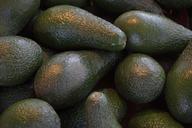 avocados-avocado-fruit-fruits-food-318198.jpg