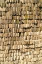 brick-clinker-stone-wall-hauswand-1028503.jpg