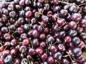 cherries-wild-cherry-fruit-red-379885.jpg