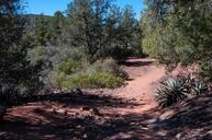 Fossil_Springs_Trail_No._18.jpg