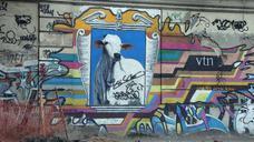 graffiti-cow-rio-wall-painting-771265.jpg