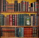 books-library-bookshelf-bookshop-378600.jpg