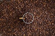 coffee-beans-coffee-beans-cocoa-839169.jpg