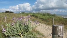 dunes-sand-dunes-atlantic-coast-353442.jpg