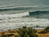 waves-alicante-after-orchards-465456.jpg