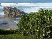 south-africa-garden-route-1036545.jpg