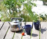 breakfast-camping-teapot-nature-1041030.jpg