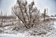 winter-landscape-nature-trees-718801.jpg