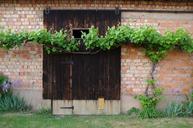 vine-barn-door-red-brick-wall-door-1347503.jpg