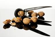 nut-nutcracker-nutshells-1022484.jpg