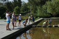 games-kids-people-lake-jumping-630693.jpg