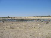 Etosha.JPG