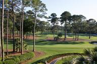 golf-course-south-carolina-fairway-1420945.jpg