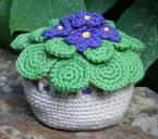 african-violet-handmade-crochet-1433668.jpg