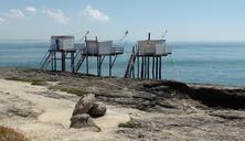 fishing-estuary-coastline-1045689.jpg