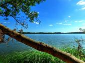 trunk-lake-trees-landscape-water-1581678.jpg