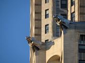 chrysler-building-gargoyles-new-york-1645464.jpg