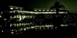 hotel-crete-palm-tree-reflection-419929.jpg