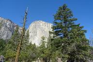 yosemite-national-park-el-capitan-1049482.jpg