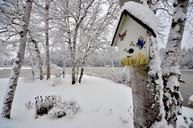 birdhouse-winter-snow-trees-birch-581594.jpg