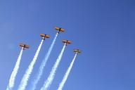 flight-formation-formation-flight-286252.jpg