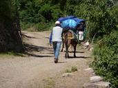 mule-muleteer-road-morocco-1412998.jpg