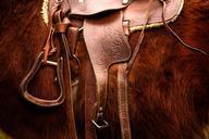 saddle-horse-riding-animal-792822.jpg