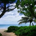 island-paradise-beach-tropical-531477.jpg