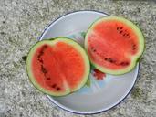 watermelon-dessert-food-456325.jpg