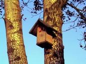 birdhouse-cottage-tree-hut-1563975.jpg