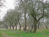 orchard-november-haunting-67350.jpg