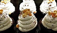 chocolate-cupcake-whipped-cream-1014635.jpg