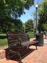 park-bench-day-nature-outdoors-620366.jpg